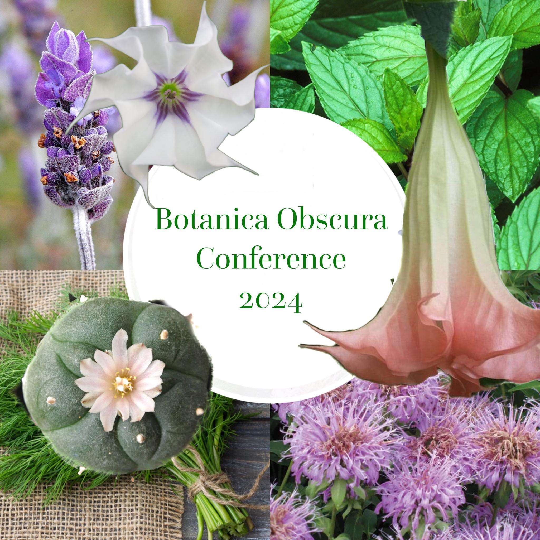botanica-obscura-2024