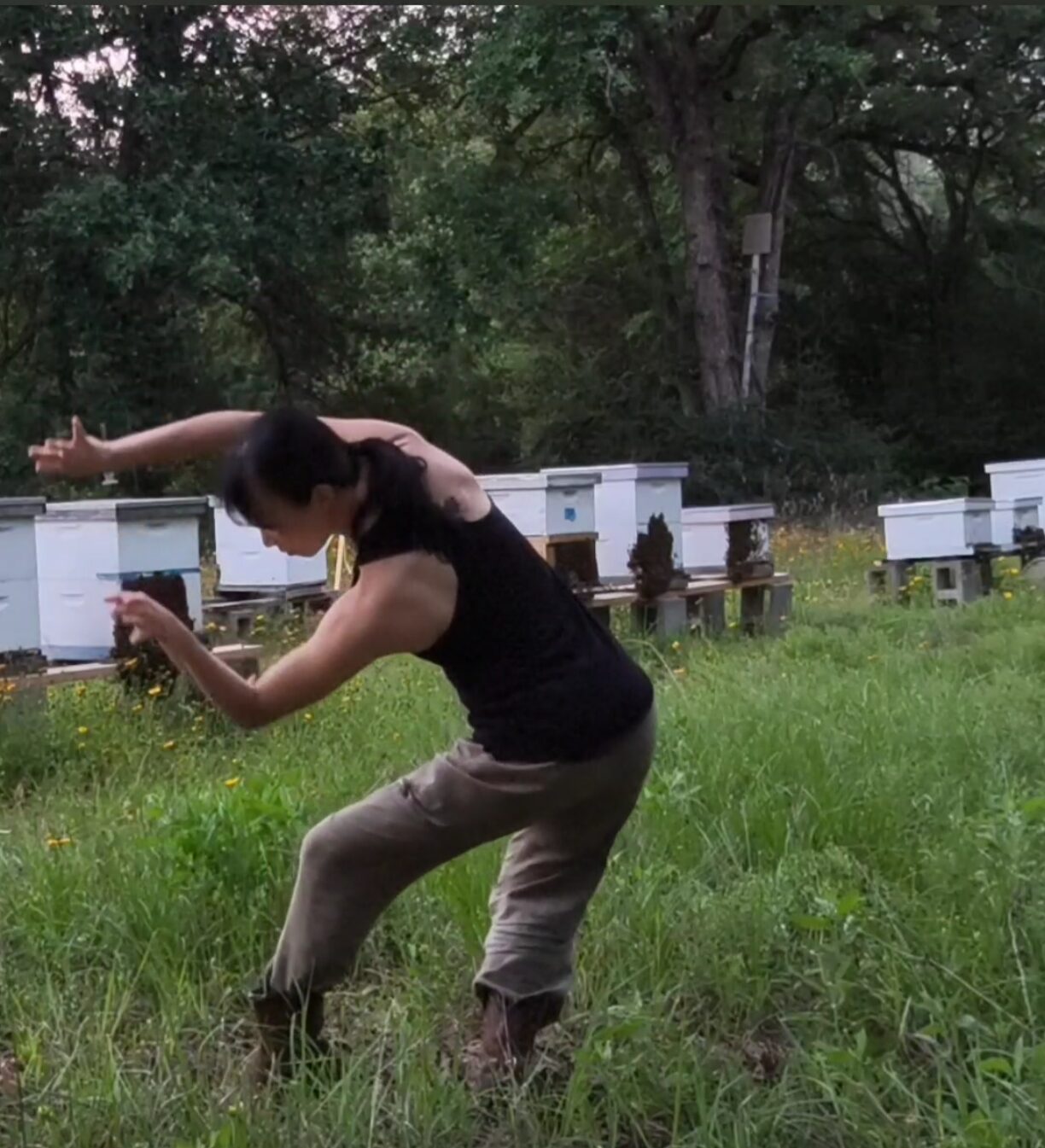 world-bee-day-dance-2026